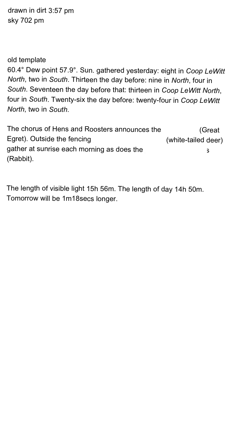 drawn in dirt 3:57 pm
sky 702 pm



old template
60.4° Dew point 57.9°. Sun. gathered yesterday: eight in Coop LeWitt North, two in South. Thirteen the day before: nine in North, four in South. Seventeen the day before that: thirteen in Coop LeWitt North, four in South. Twenty-six the day before: twenty-four in Coop LeWitt North, two in South. 
The chorus of Hens and Roosters announces the Ardea alba (Great Egret). Outside the fencing Odocoileus virginianus (white-tailed deer) gather at sunrise each morning as does the Sylvilagus floridanus (Rabbit).


The length of visible light 15h 56m. The length of day 14h 50m. Tomorrow will be 1m18secs longer. 


